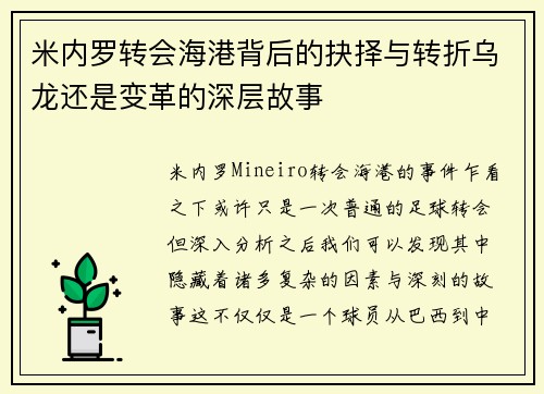 米内罗转会海港背后的抉择与转折乌龙还是变革的深层故事